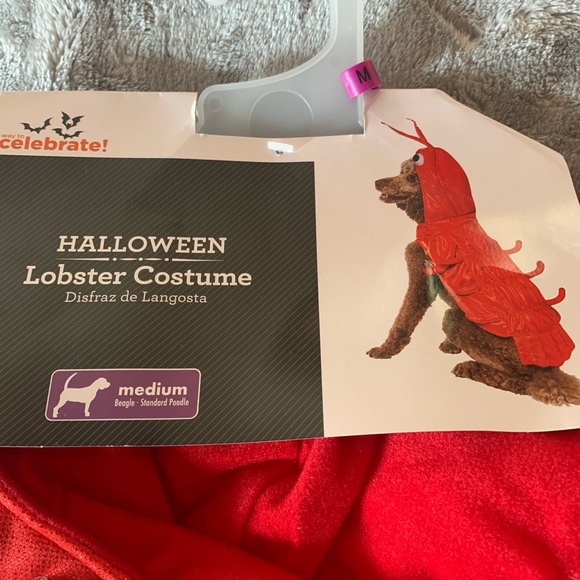 Size Medium Pet Halloween Costume Red Lobster Dog Celebrate New - Picture 2 of 4